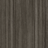 Shadow elm